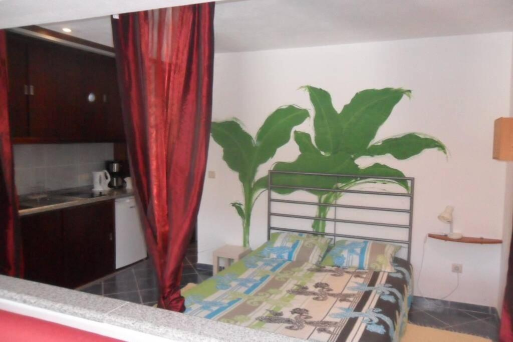 studio Mira Abragao Esterno foto